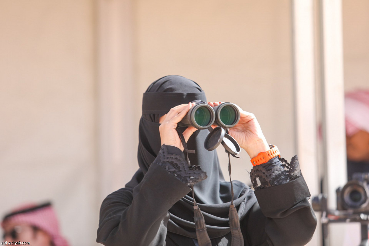 انطلاقة الصقور