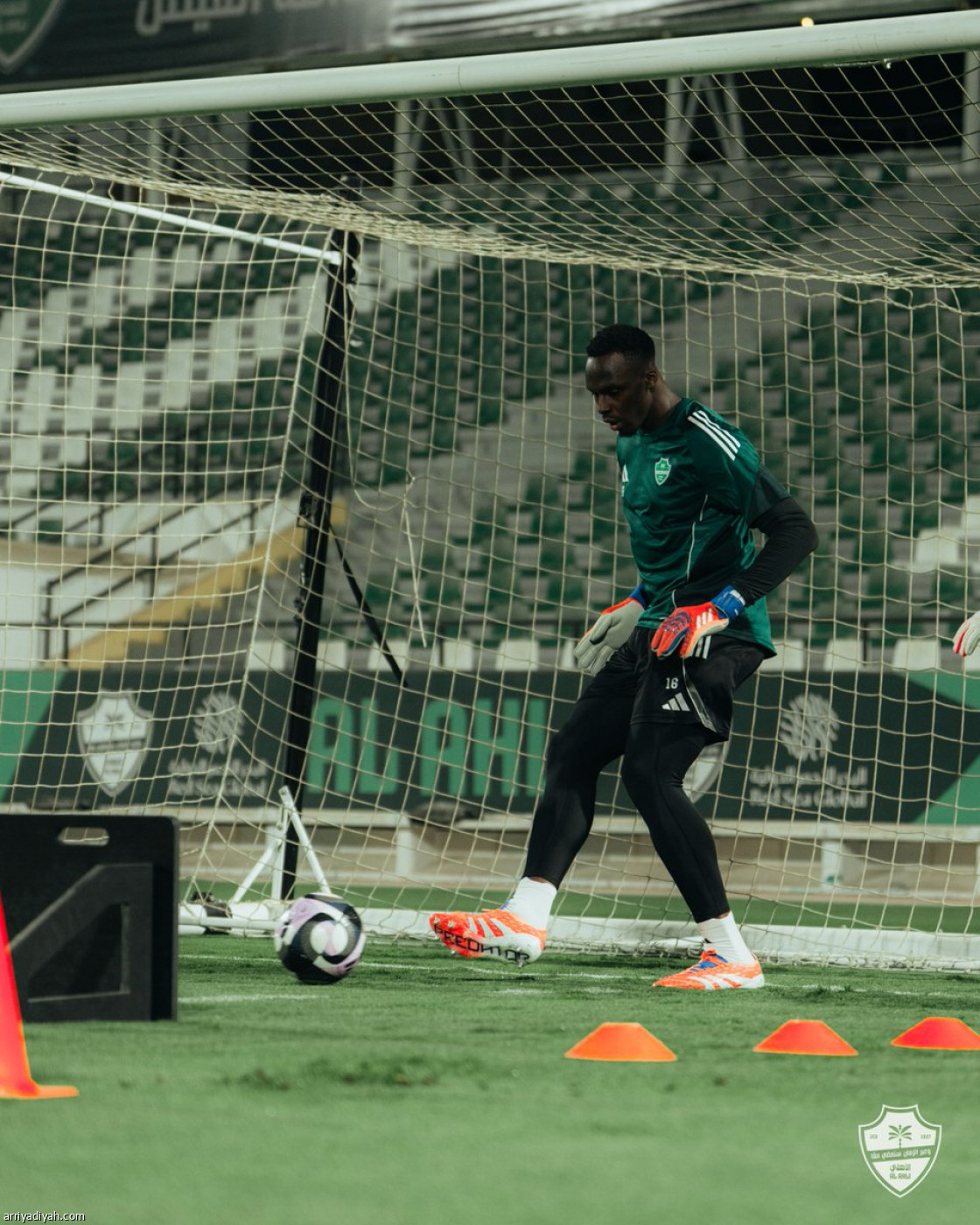 الأهلي يعود