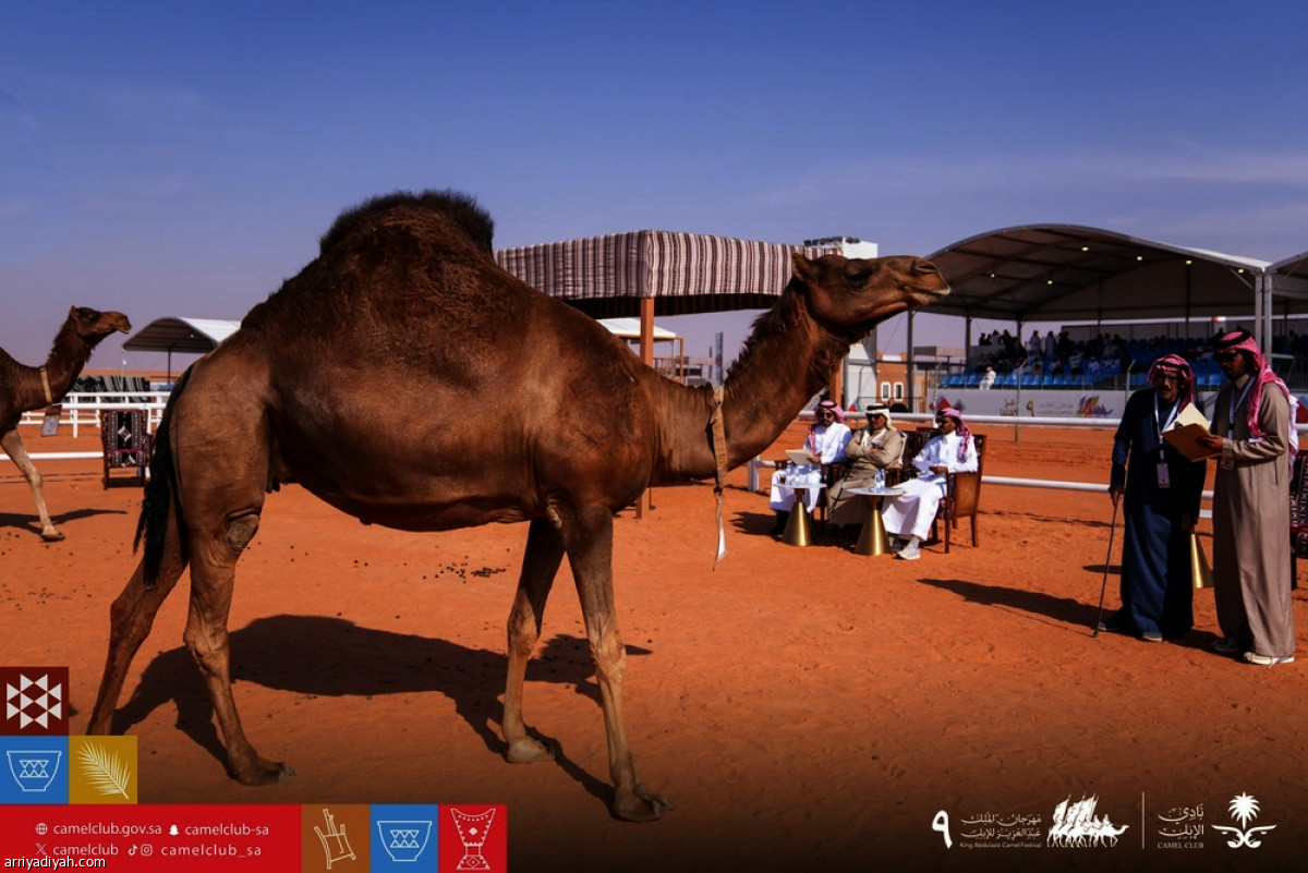 منافسات «السواحل»