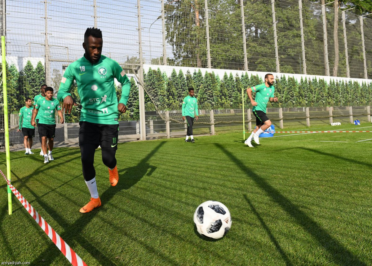 الصقور يواصلون المهمة