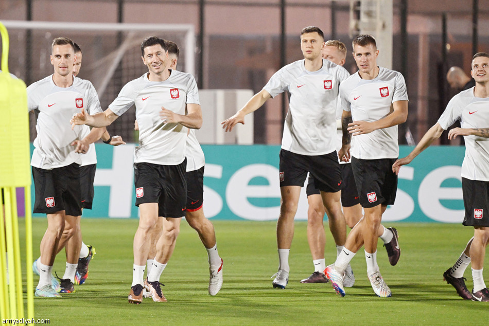 توزيع الأساسيين يخفي تشكيلة الأخضر