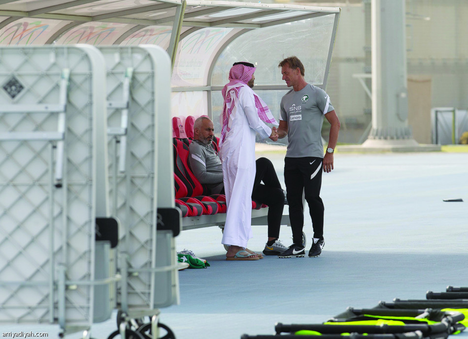 الأخضر في جدة.. 
12 انتصارا وتعادلان