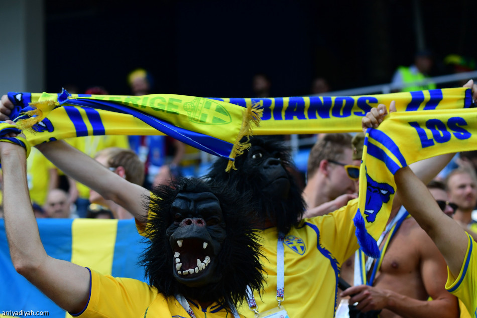 ثقافات التشجيع