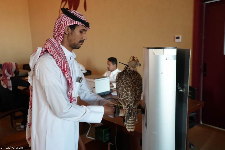 بدء تسجيل المشاركين في المسار الأول في كأس العلا للصقور