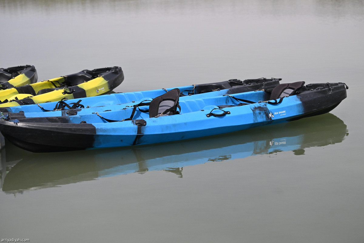 التجديف بالكاياك