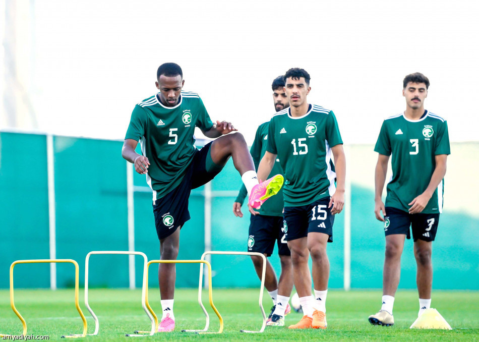 الأخضر
يعتمد الهجومية