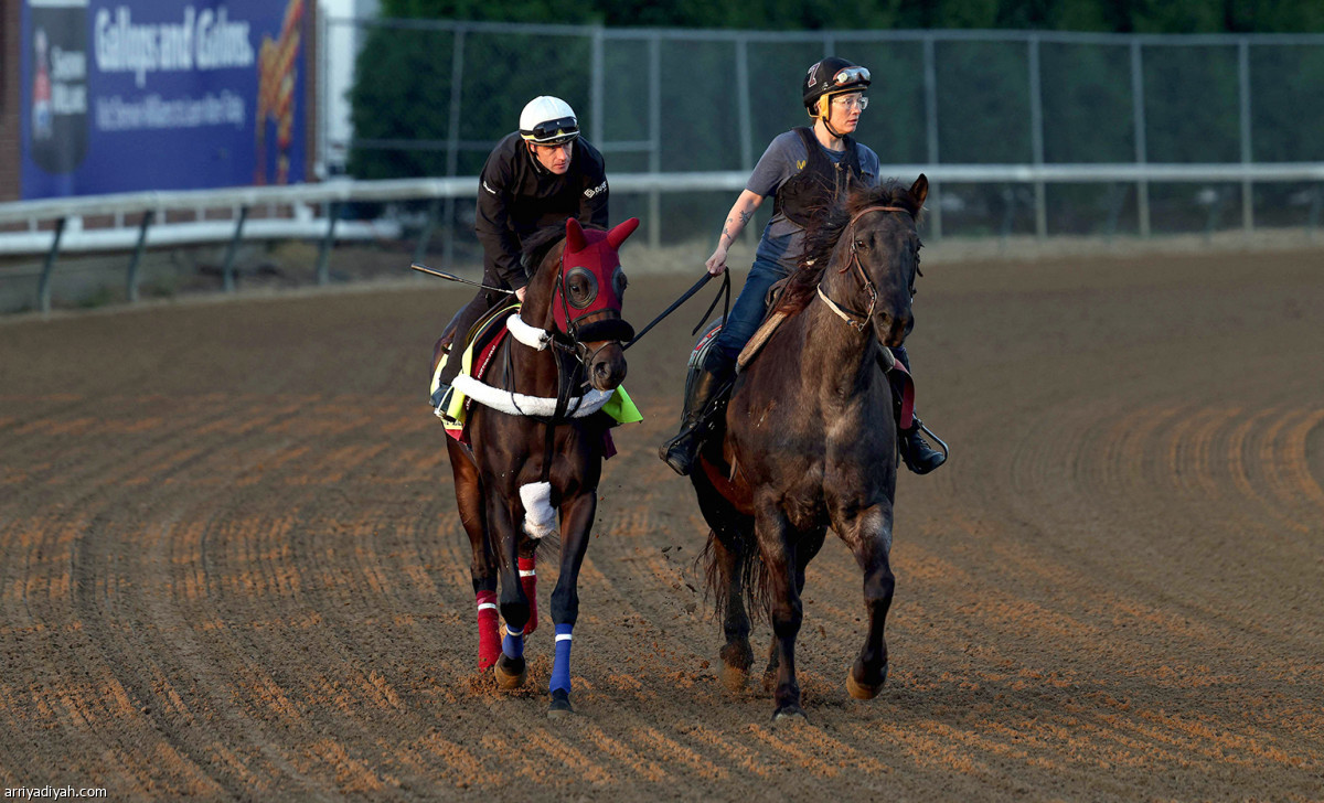 تحضيرات الخيول