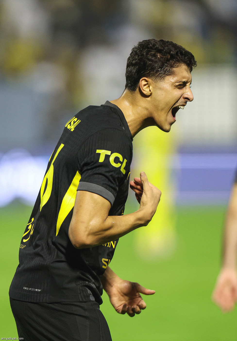 صحوة اتحادية