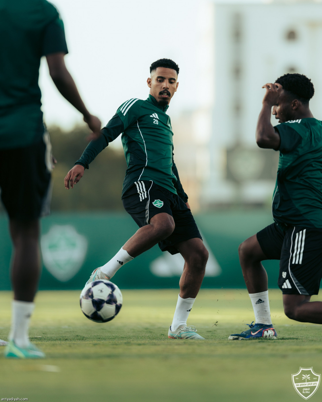 حامل اللقب جاهز