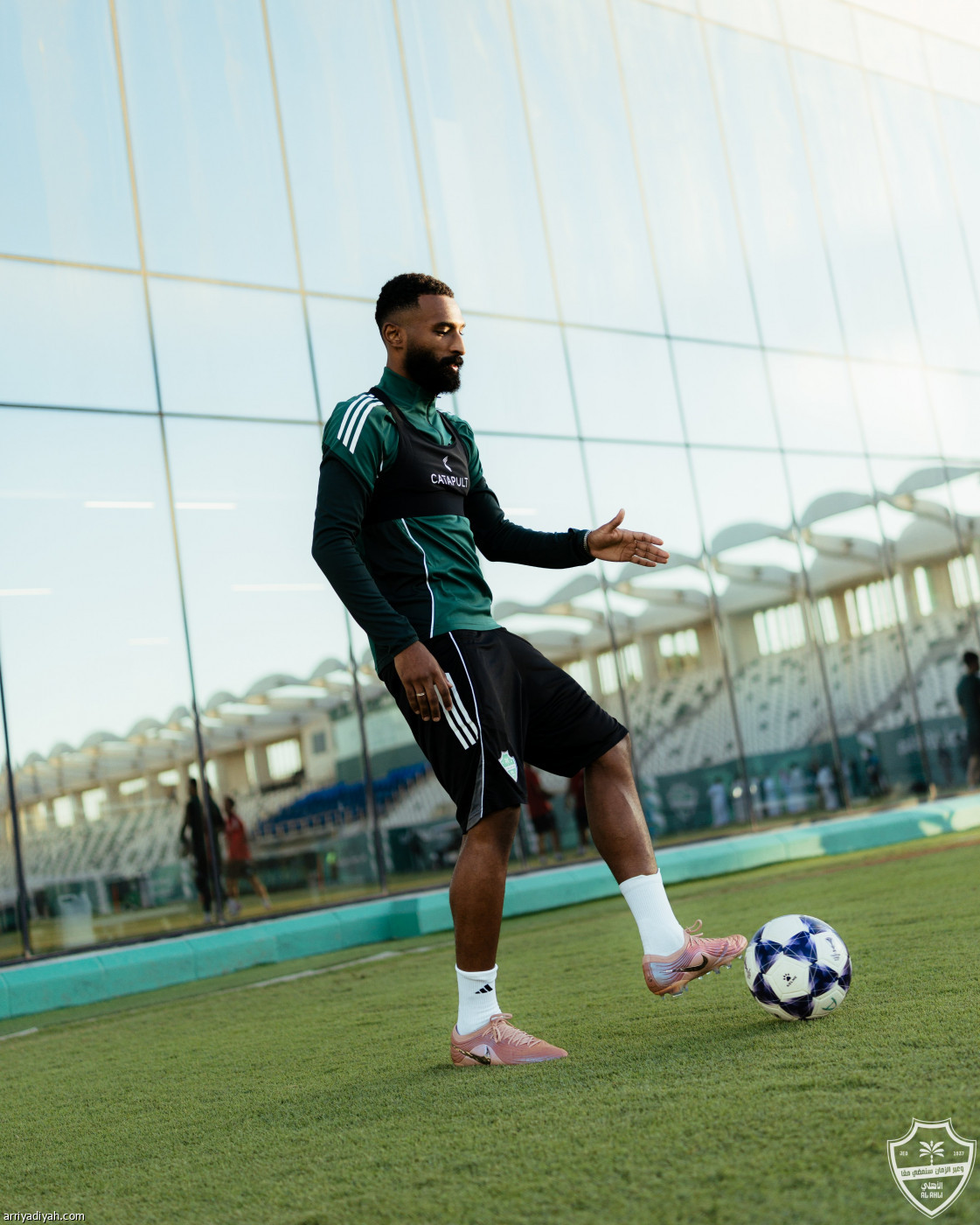 حامل اللقب جاهز