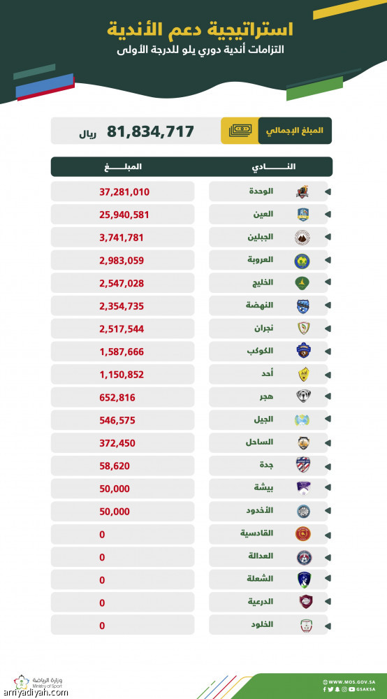 «الكفاءة المالية»: 300 مليونا ديون الأندية