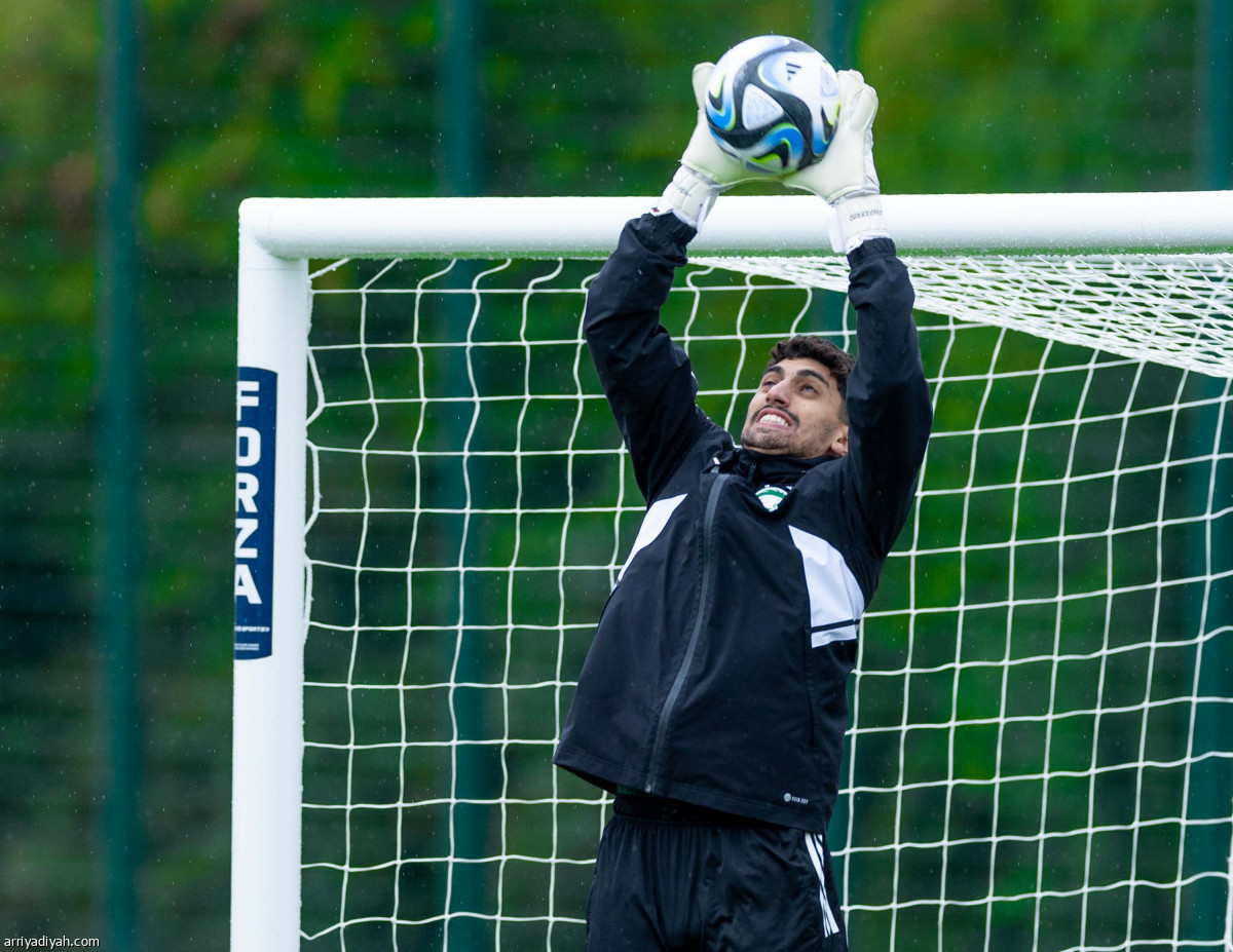 الأخضر مستعد