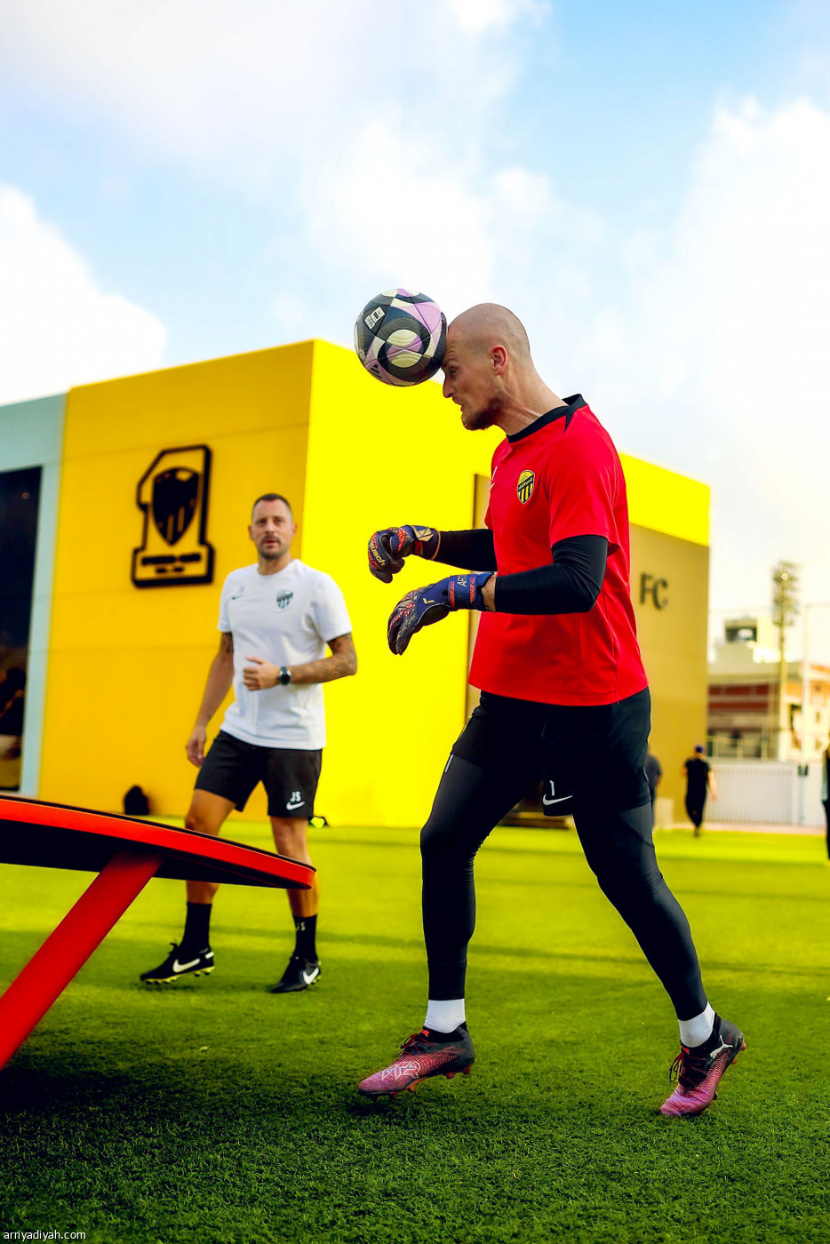 «النمور» جاهزون