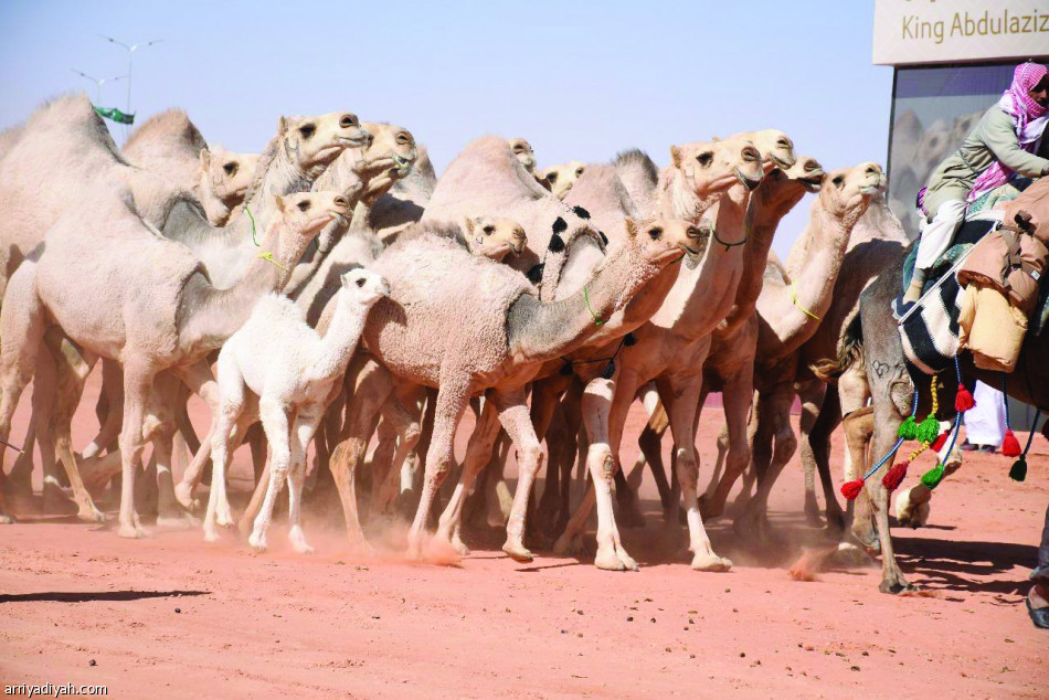 جلادات تسيطر على الشعل .. و الكحيلوات تنتزع الأول