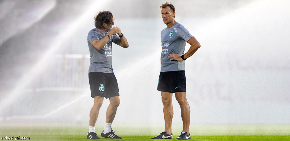 بـ 10 مواجهات..
كنو يتصدر الصقور 
قبل المونديال