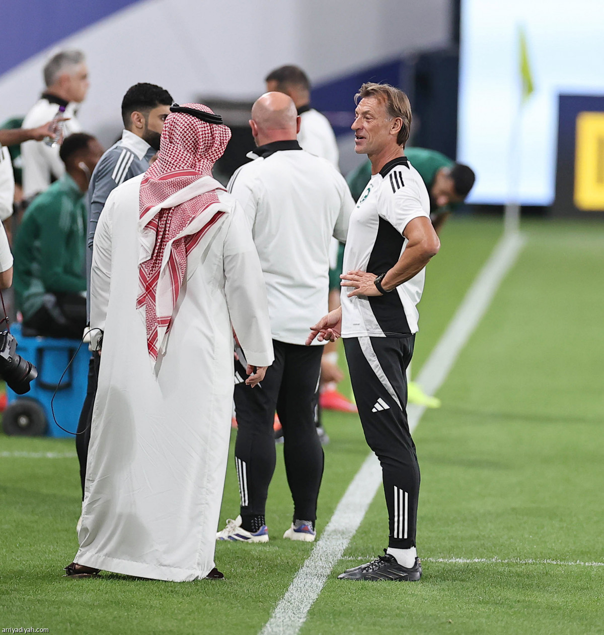 الأخضر.. نهاية التحضيرات