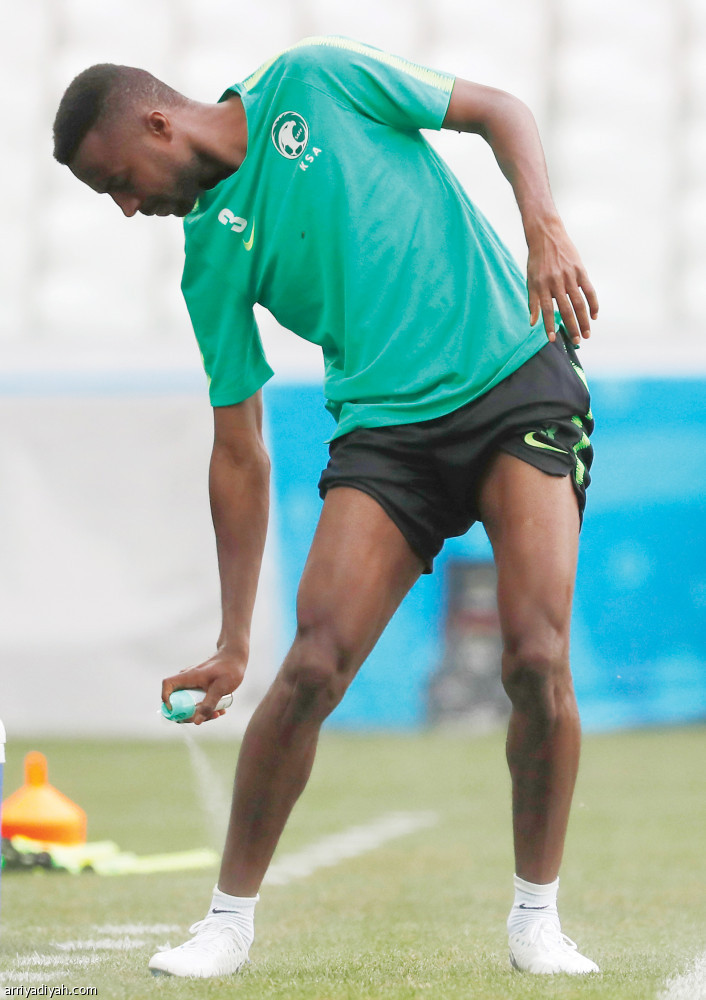 هجوم البعوض