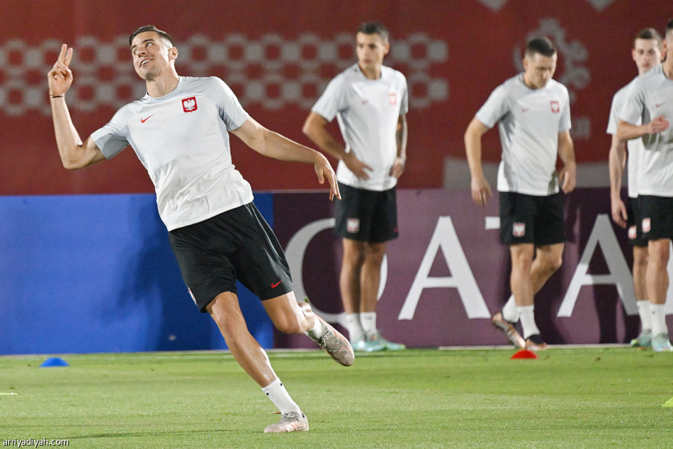 توزيع الأساسيين يخفي تشكيلة الأخضر