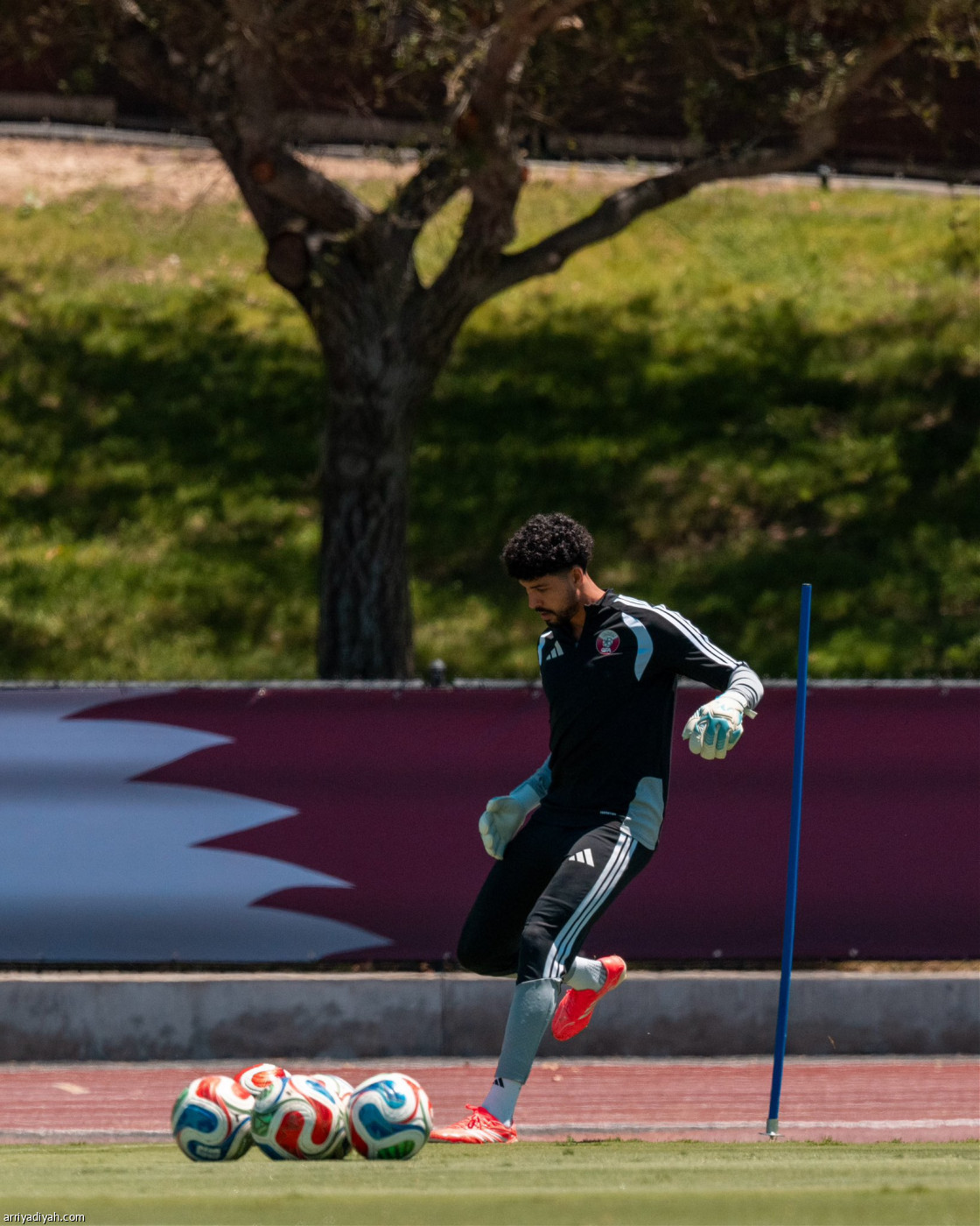 العنابي يتجهز