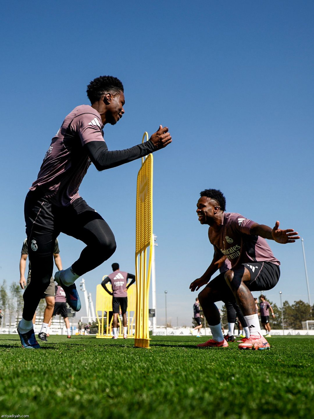 الريال متأهب