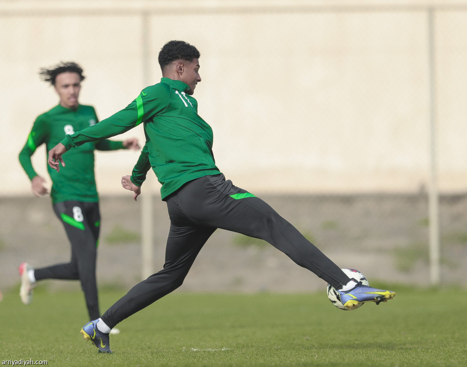 الأخضر  الشاب يتسلح بالكرات الثابتة