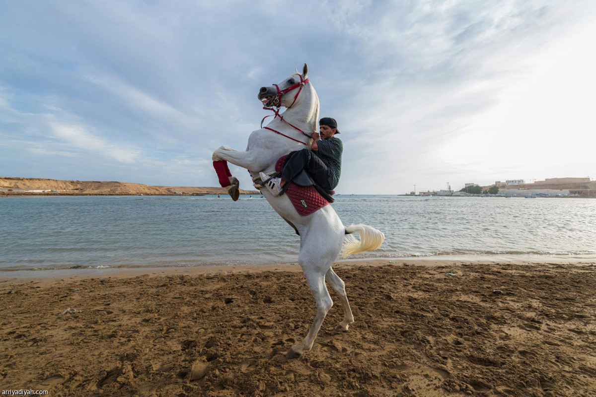 تدريبات يومية