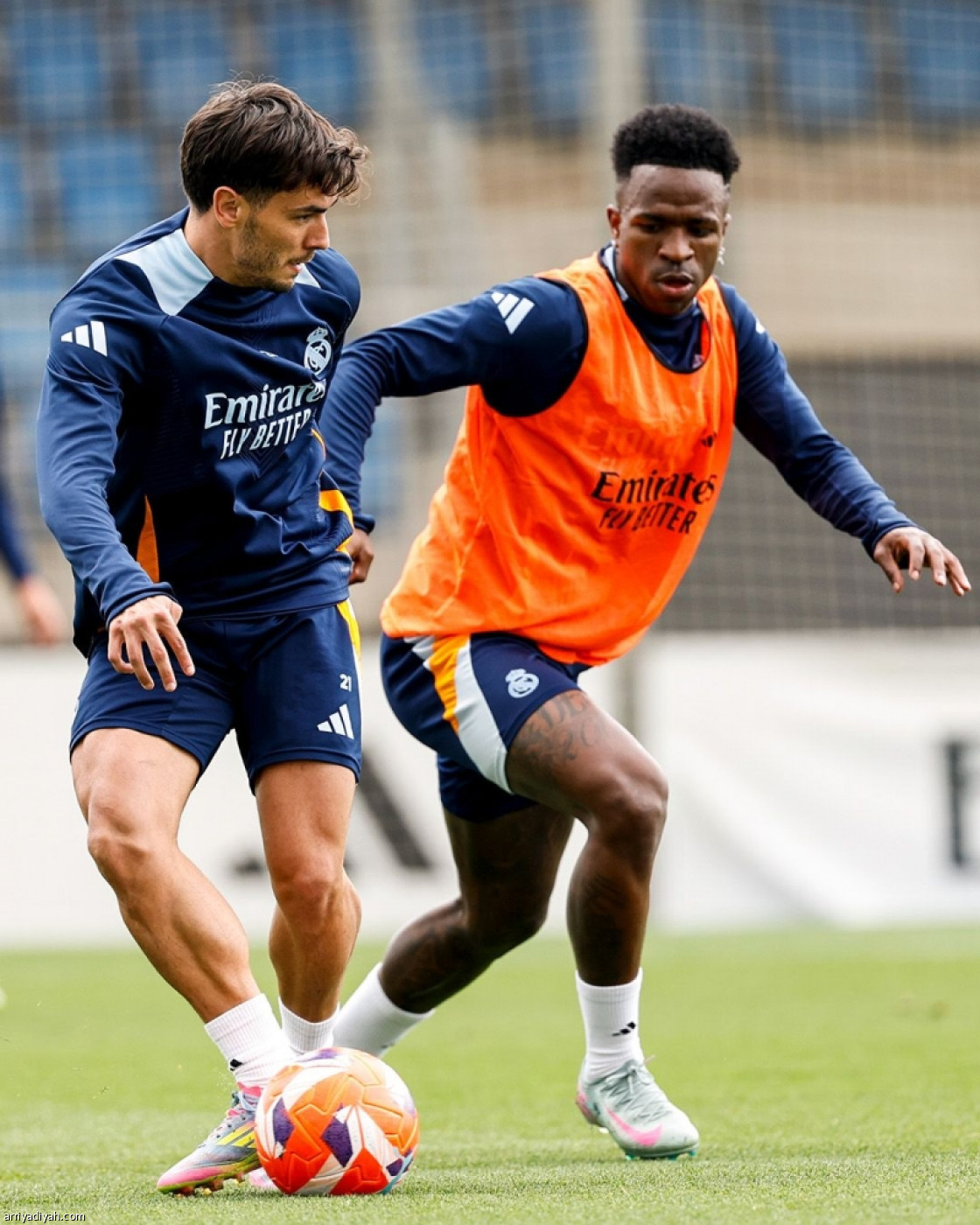 استعدادات قبل فيجو