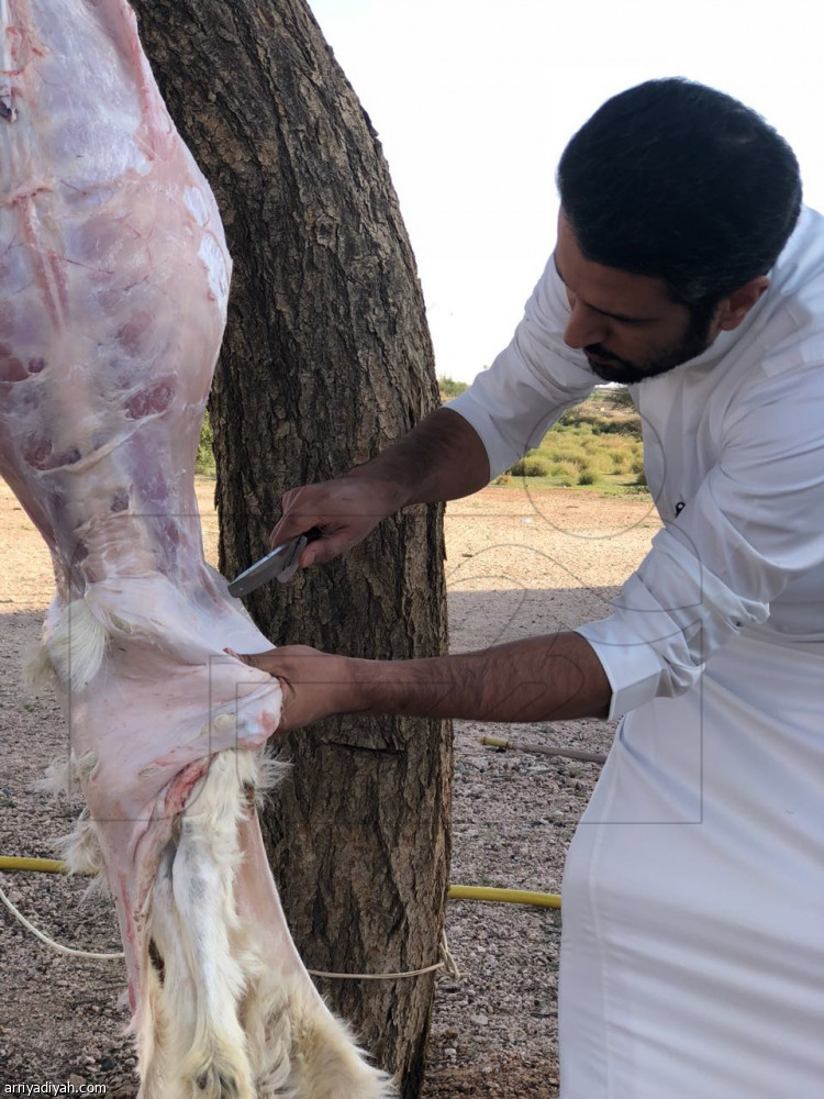 الرياضيون مع الأضاحي