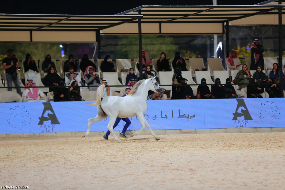 أمير الرياض يرعى ختام مهرجان «عبية في الدرعية»