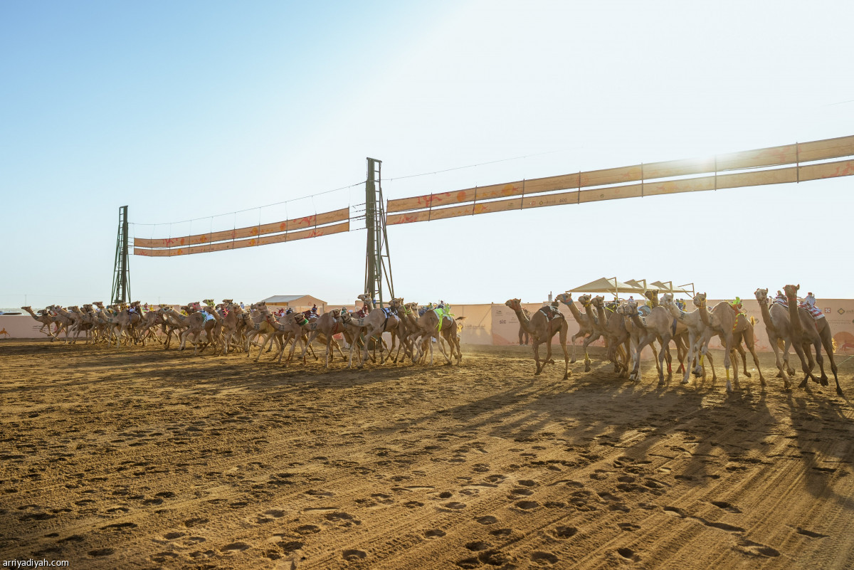 صدارة سعودية