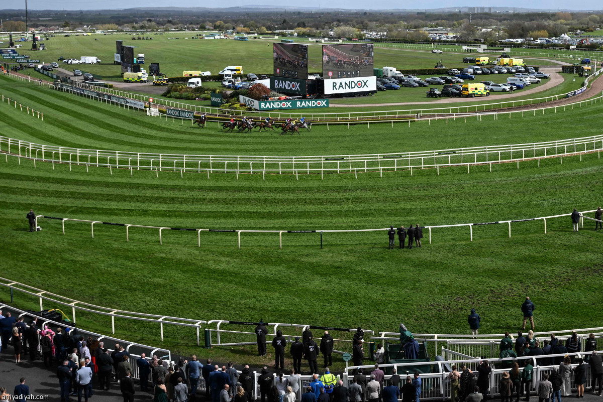 ختام المهرجان