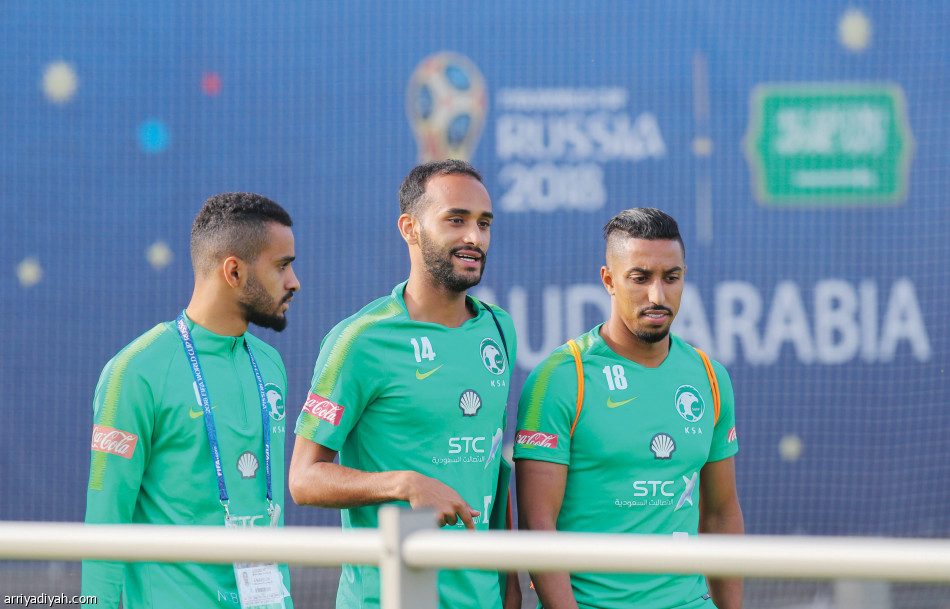 بيتزي
يصحح أخطاء الدفاع