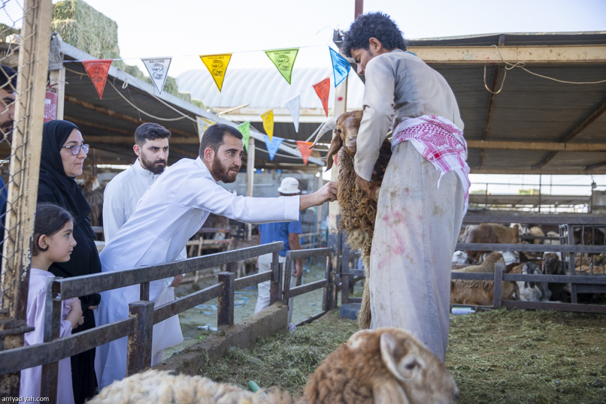 فرحة العيد.. «أضاحي» وحلويات