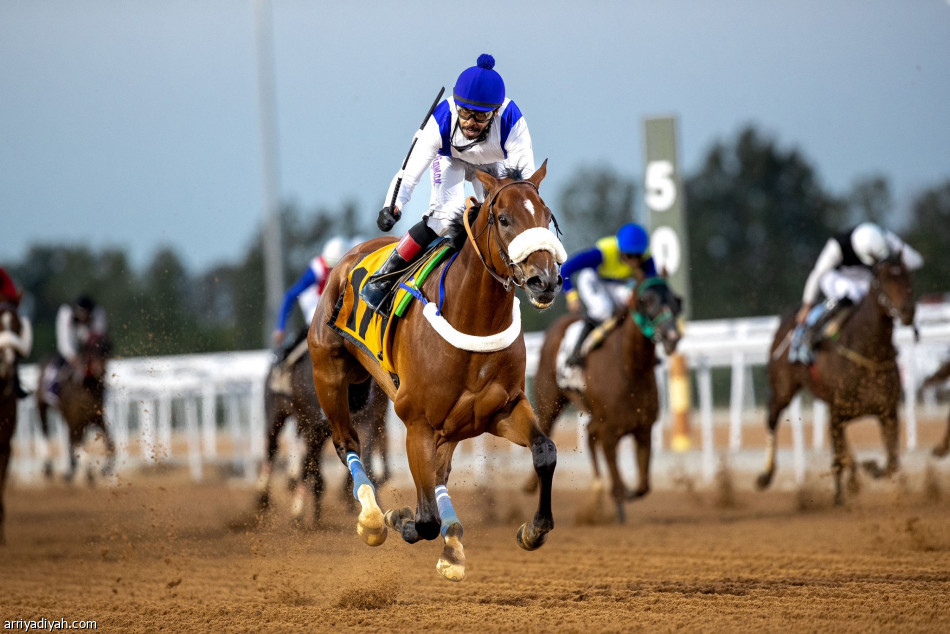 «نافذة» تحصد كأس مهرجان الورد الطائفي