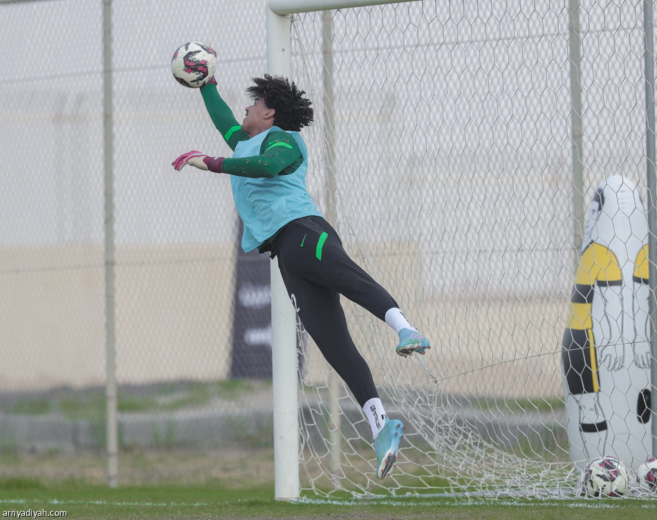 الأخضر  الشاب يتسلح بالكرات الثابتة