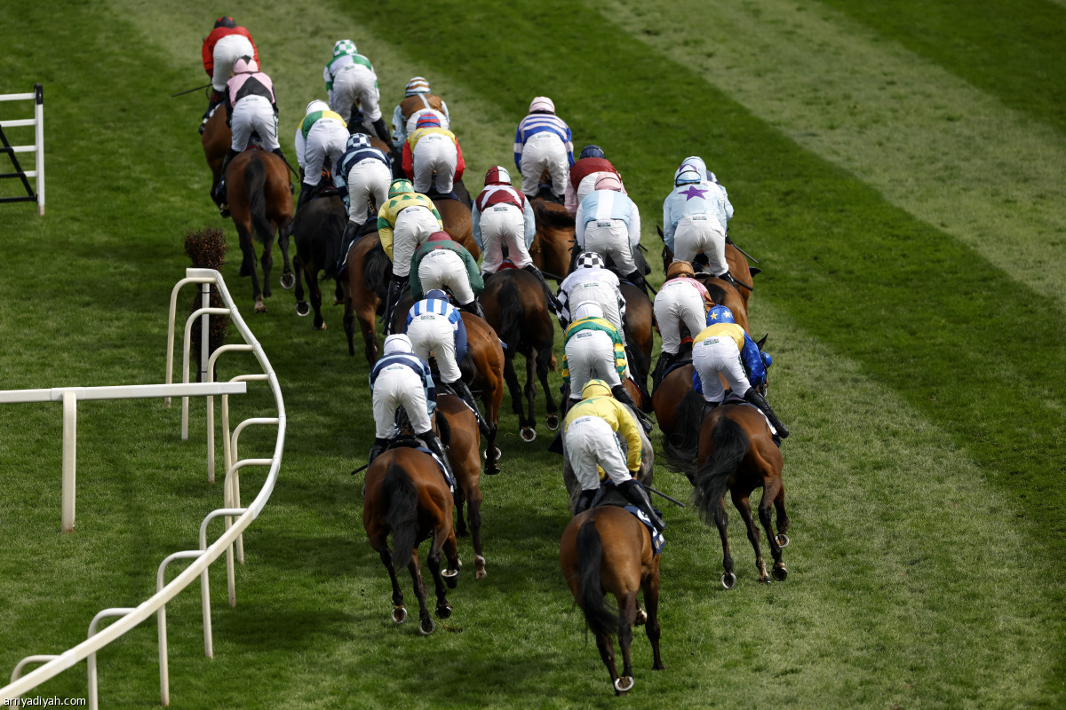 مهرجان الخيول