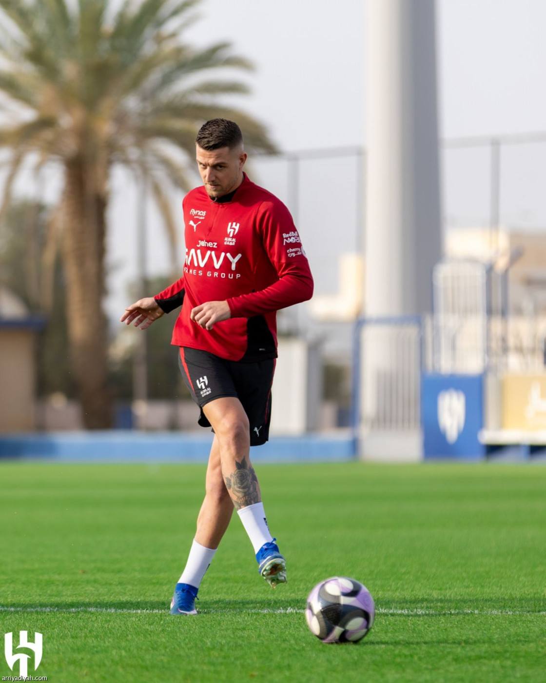 الهلال يتجهز