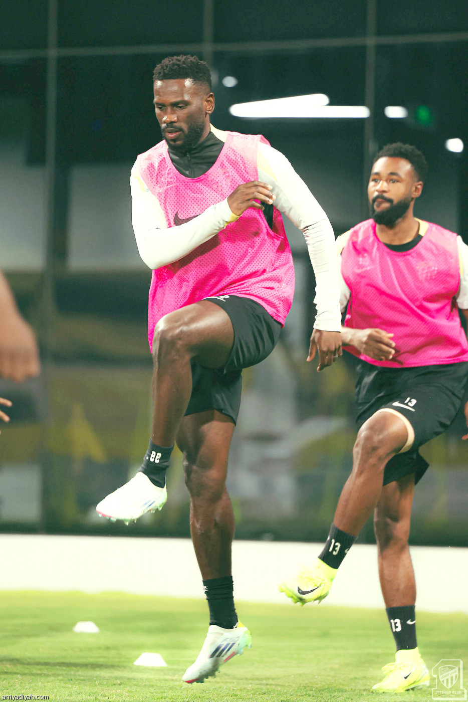 «النمور» جاهزون