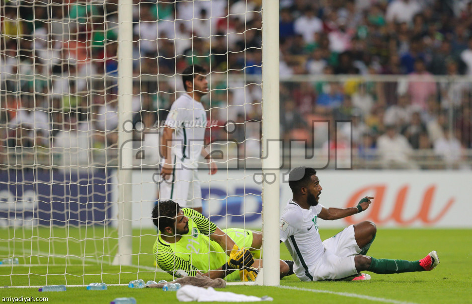 الصقور الخضر يعبرون إلى مونديال روسيا