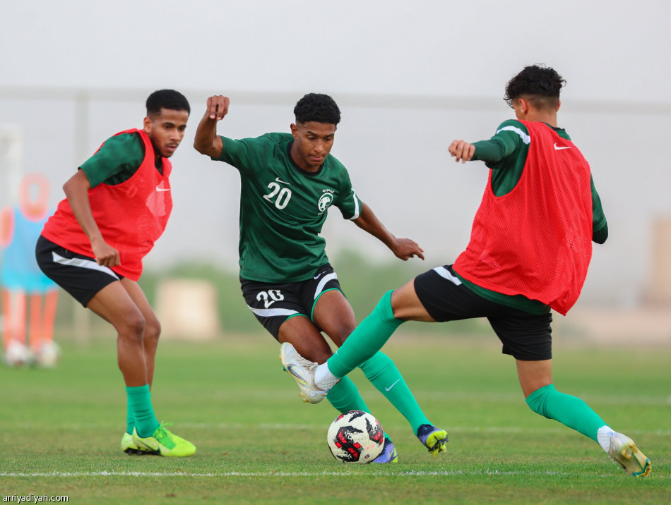 «المخصصة» تُجهز أخضر الشباب