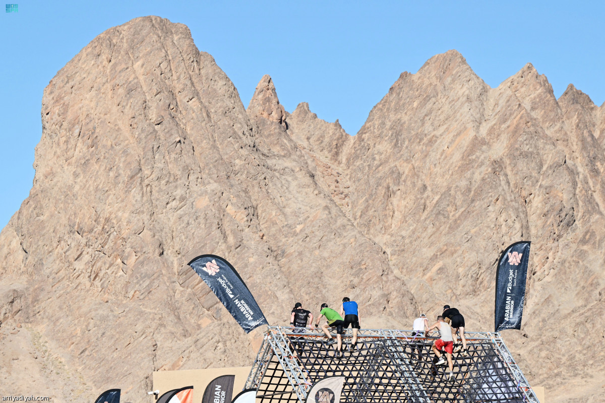 المحارب في العلا