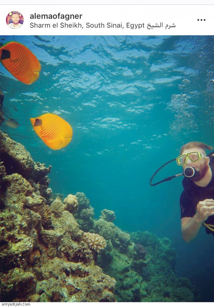 أليماو..
عاشق الغوص والإبل