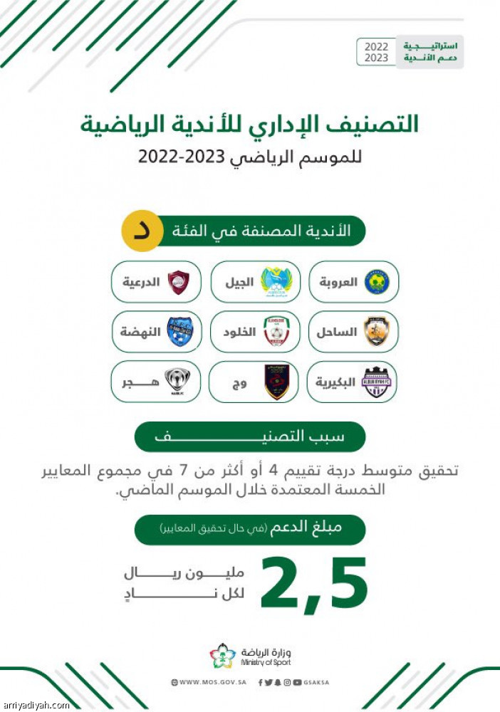 «دعم الحوكمة».. تصنيف الأندية على 6 فئات