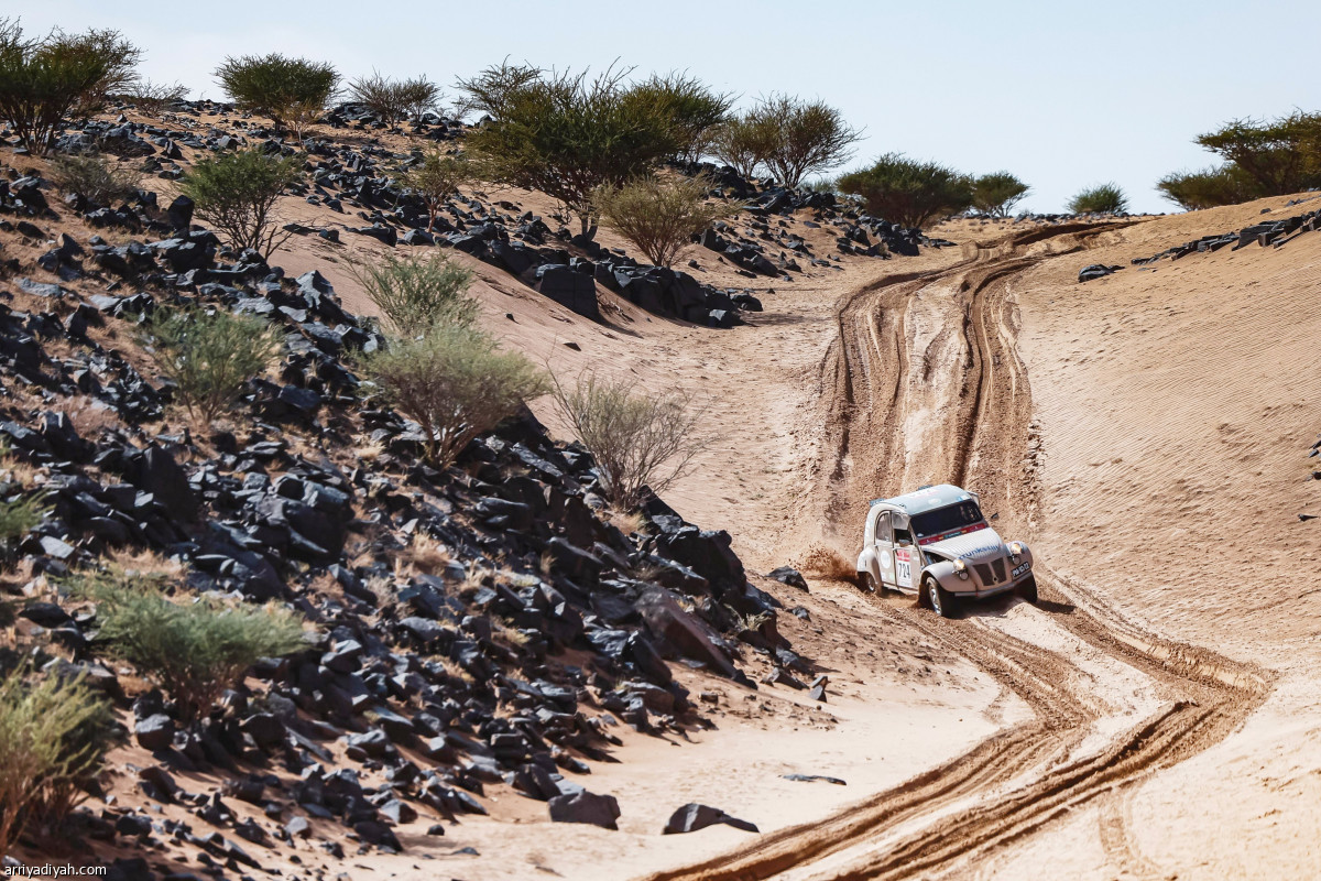 المرحلة الخامسة