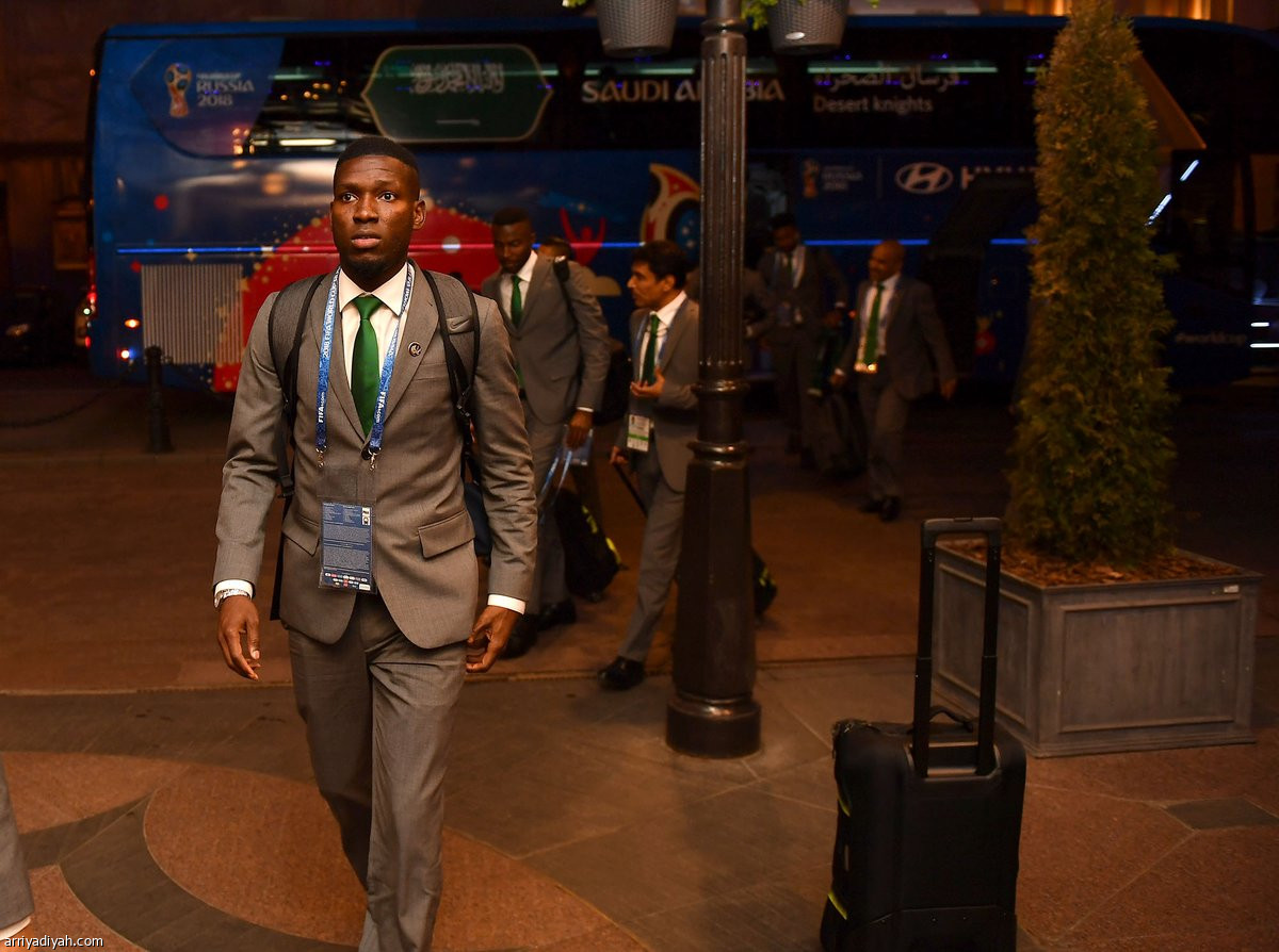 الصقور في روسيا