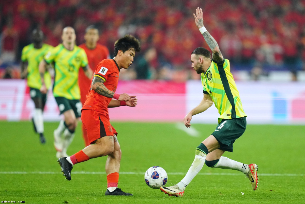 الكنغر يقترب