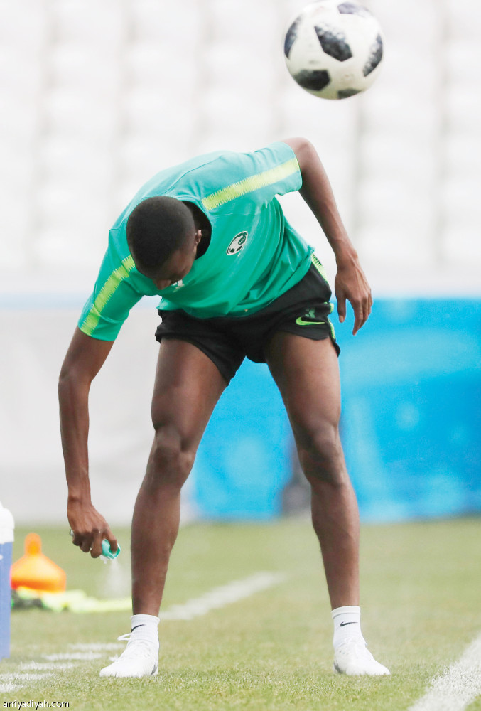 هجوم البعوض