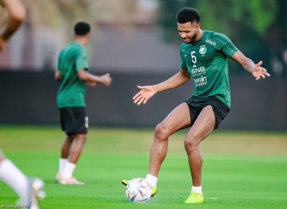 ستويانوف 
خارج مواجهة الصقور