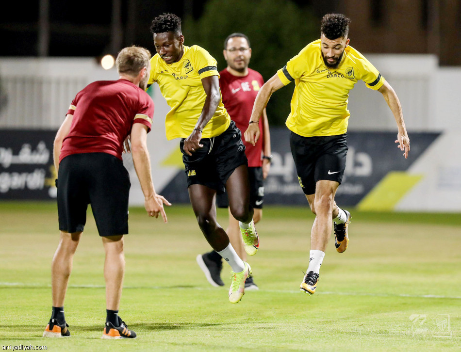 الحائلي
يراقب قياسات النمور